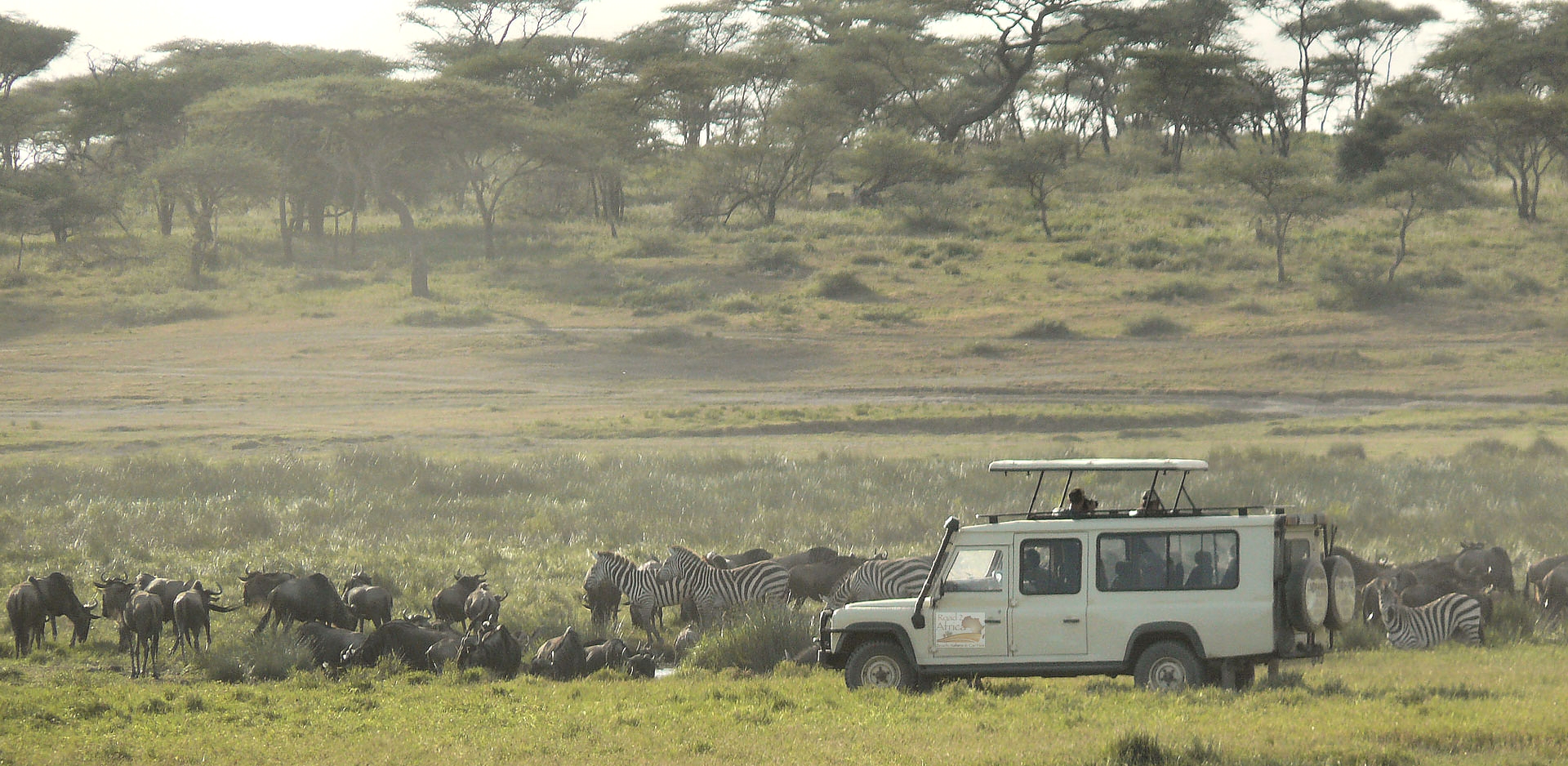 Popular Trips to Ngorongoro and Serengeti National Parks