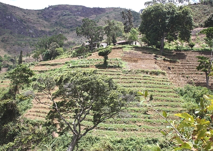Farms in Uluguru Mountains