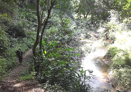 Hiking in Udzungwa Mountains National Park