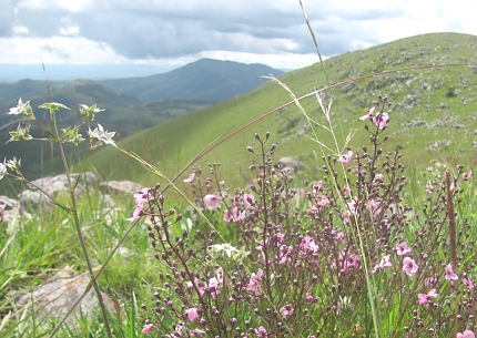 Kitulo National Park
