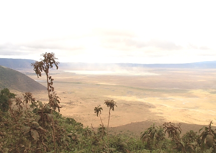 Ngorongoro Crater View