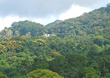 Hiking in Udzungwa Mountains National Park